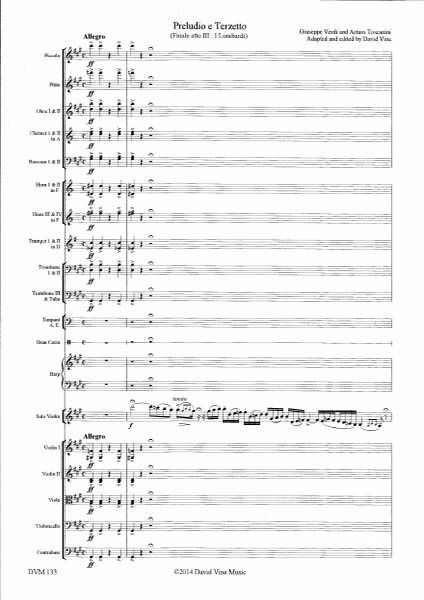 Prelude and Terzetto from 'I Lombardi' for violin and orchestra (Verdi)